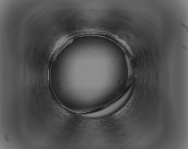 X0000091931365200709191351