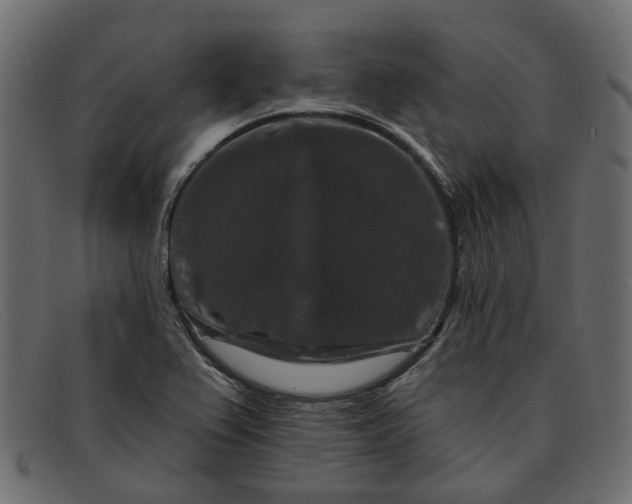 X0000091931367200709191351