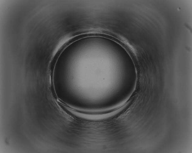 X0000091931368200709191351