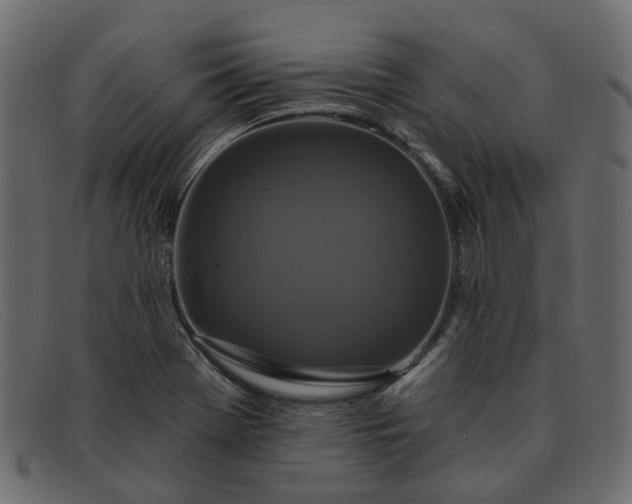 X0000091931369200709191351