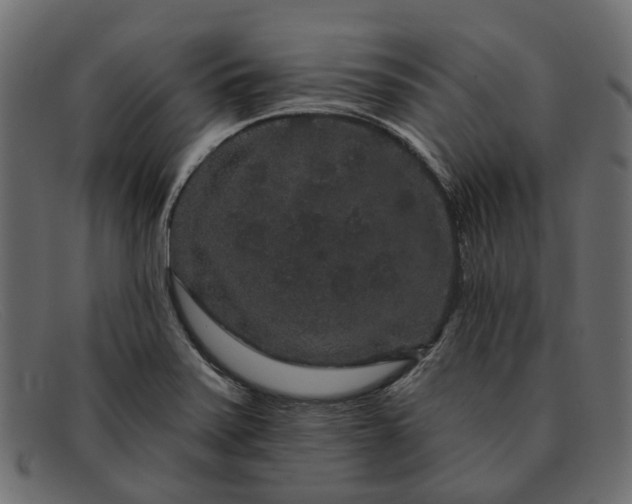X0000091931371200709191351