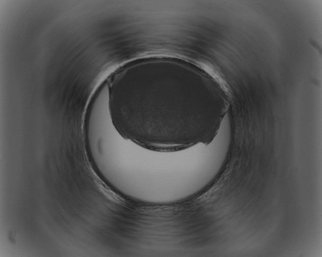 X0000091931372200709191351