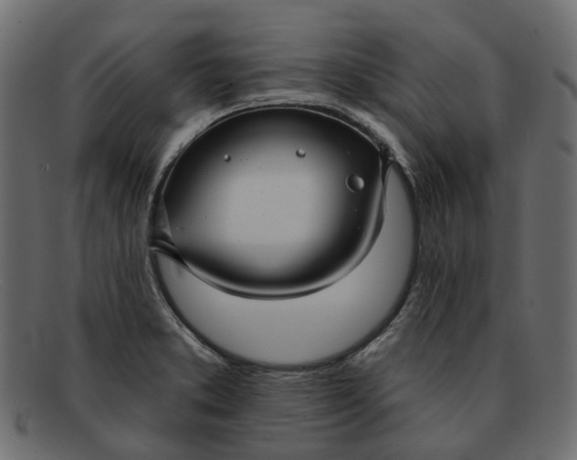 X0000091931373200709191351