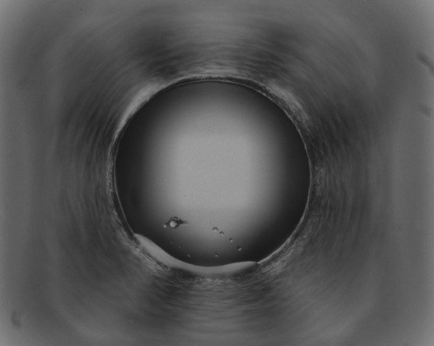 X0000091931374200709191351
