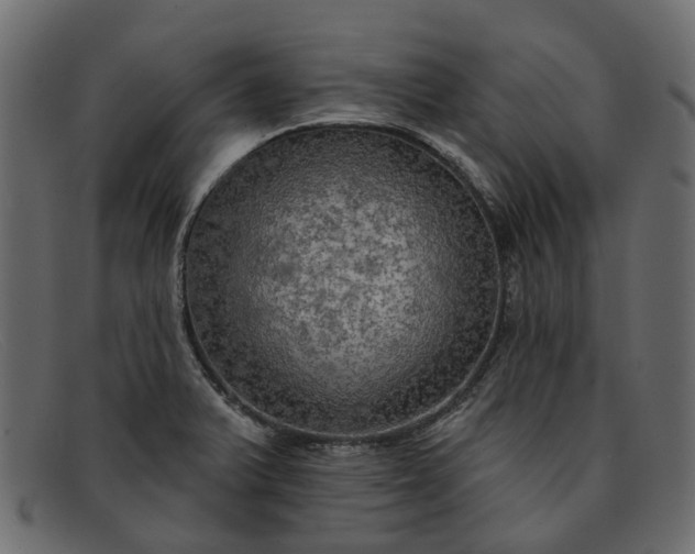 X0000091931375200709191351