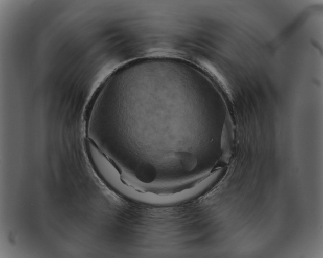 X0000091931376200709191351