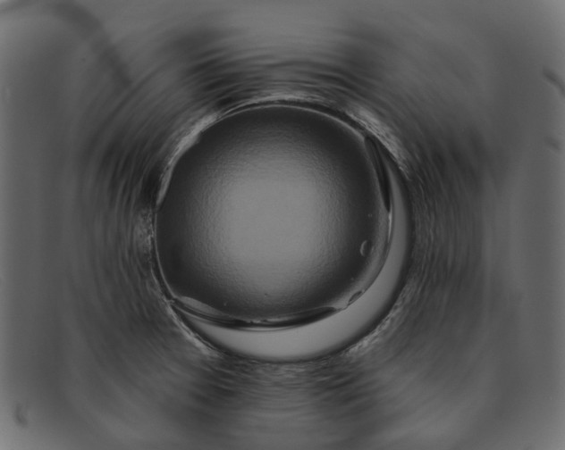 X0000091931377200709191351