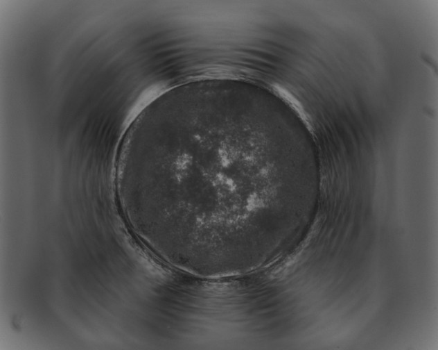 X0000091931378200709191351