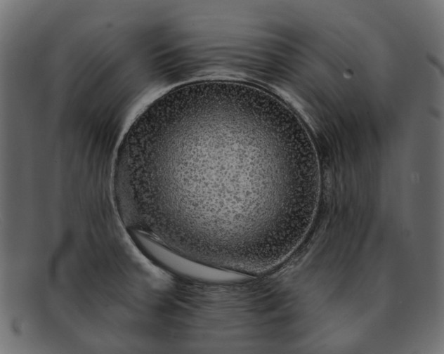 X0000091931379200709191351