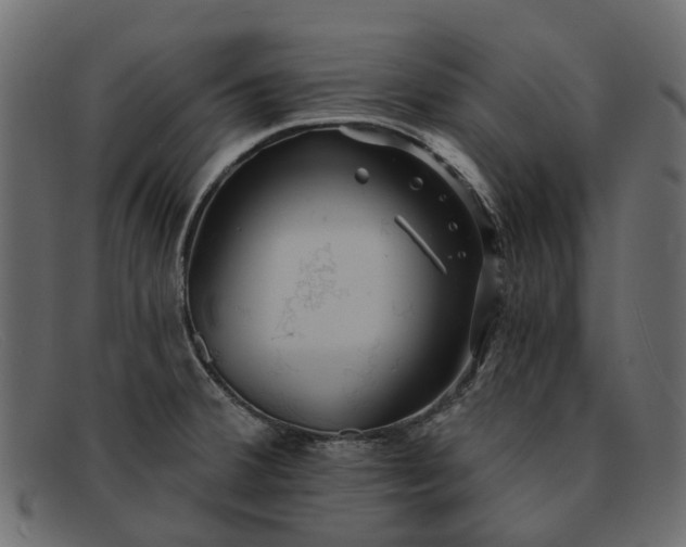 X0000091931380200709191351
