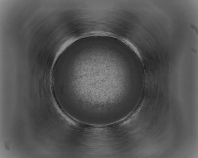 X0000091931381200709191351
