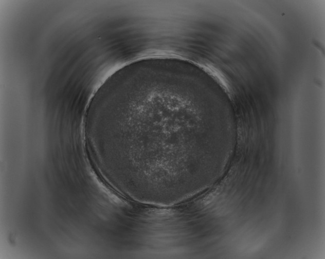X0000091931382200709191351