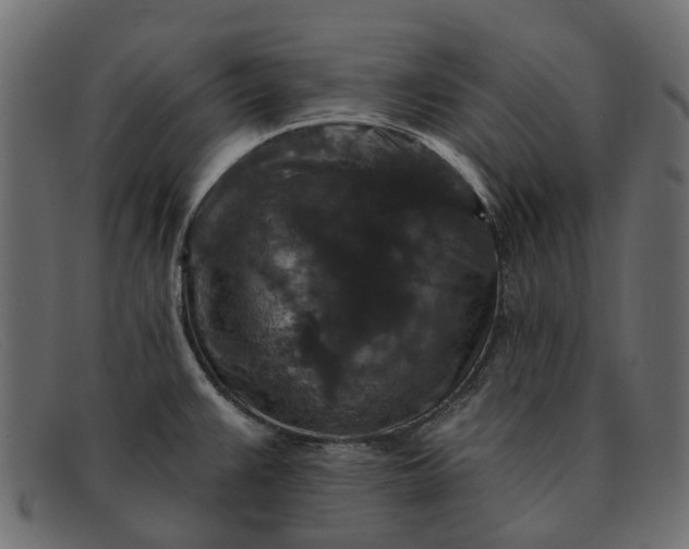 X0000091931383200709191351