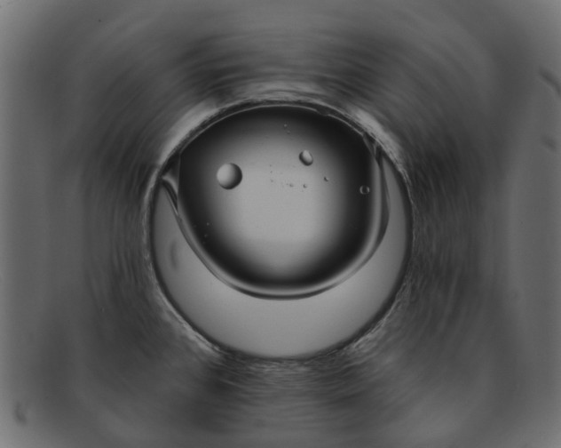 X0000091931384200709191351