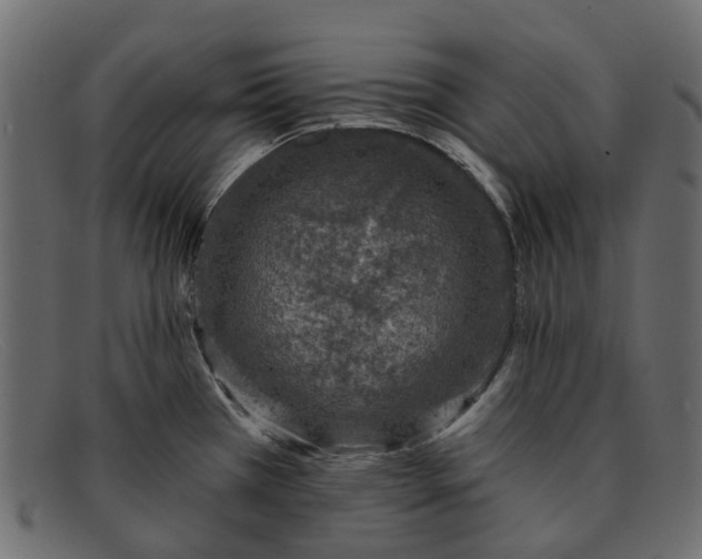 X0000091931385200709191351