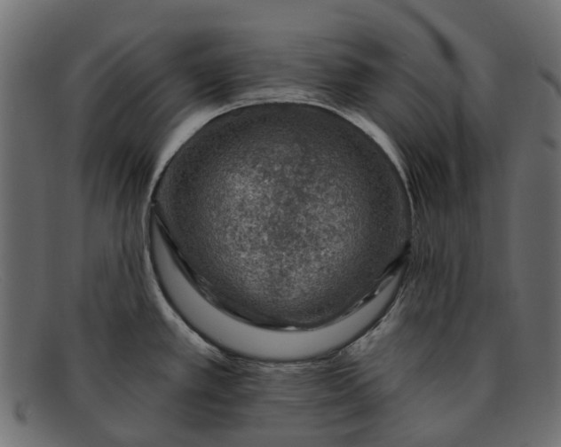 X0000091931389200709191351