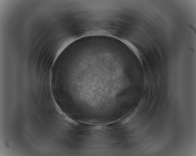 X0000091931390200709191351