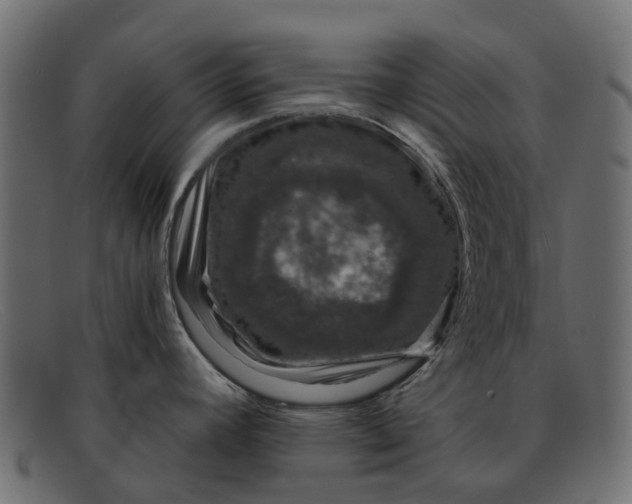 X0000091931392200709191351