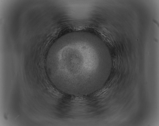 X0000091931393200709191350