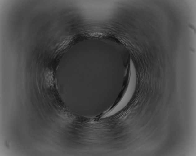 X0000091931394200709191350