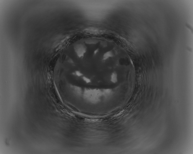 X0000091931397200709191350