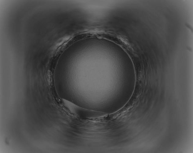 X0000091931398200709191350