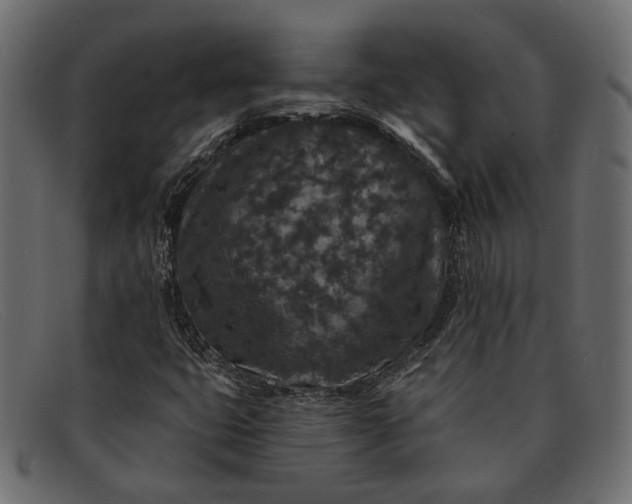X0000091931399200709191350