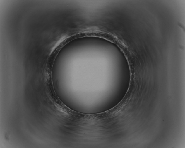 X0000091931400200709191350