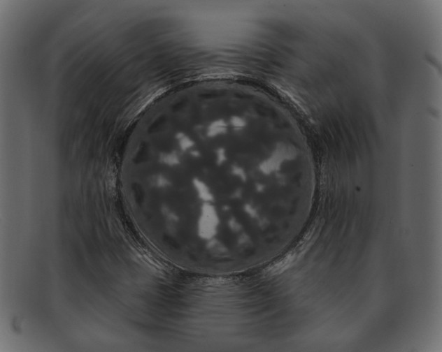 X0000091931401200709191350