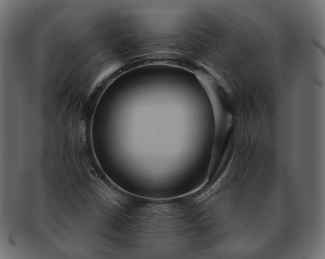 X0000091931402200709191350