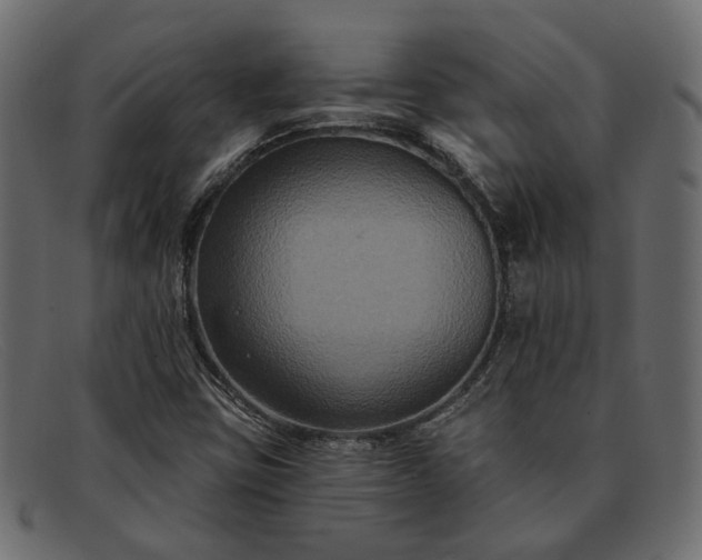 X0000091931403200709191350