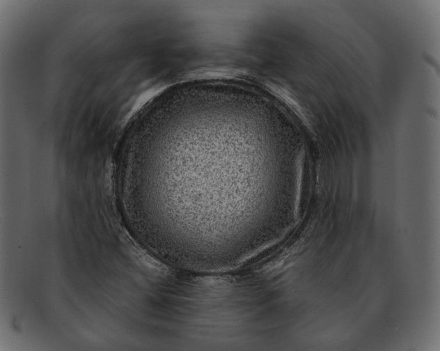 X0000091931404200709191350