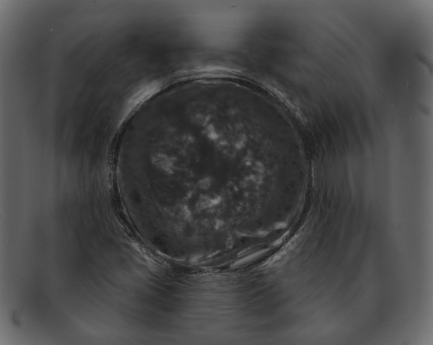 X0000091931405200709191350