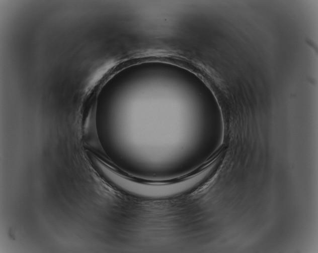 X0000091931406200709191350