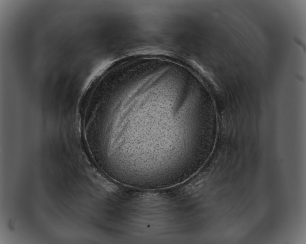 X0000091931408200709191350
