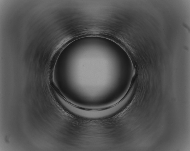 X0000091931410200709191350