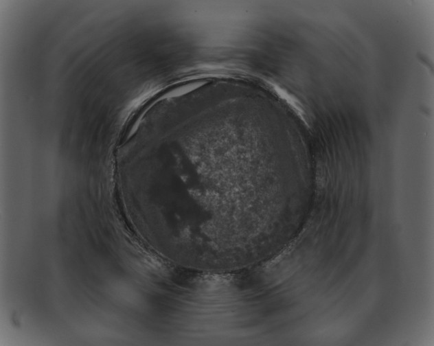 X0000091931411200709191350
