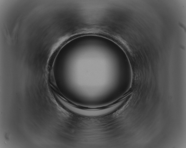 X0000091931414200709191350