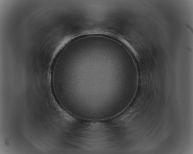 X0000091931416200709191350