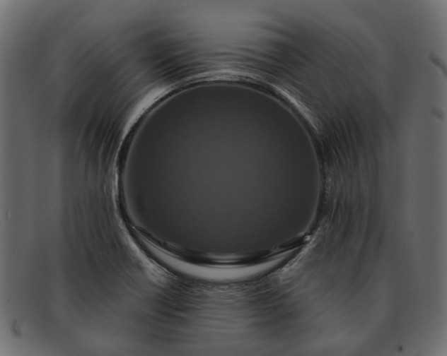 X0000091931418200709191350