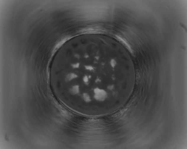 X0000091931419200709191350