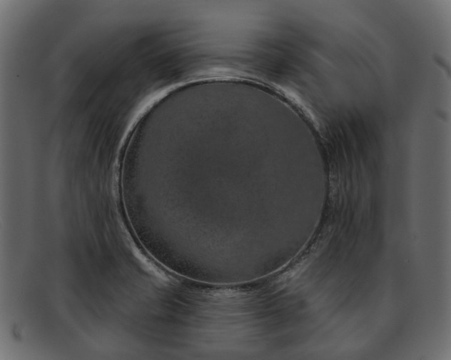 X0000091931421200709191350