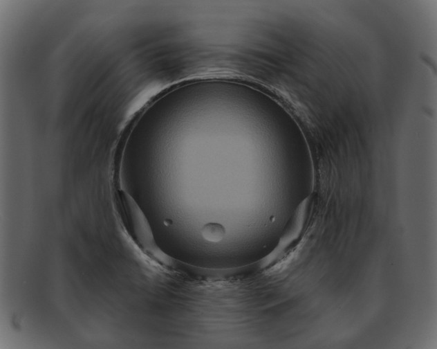 X0000091931422200709191350