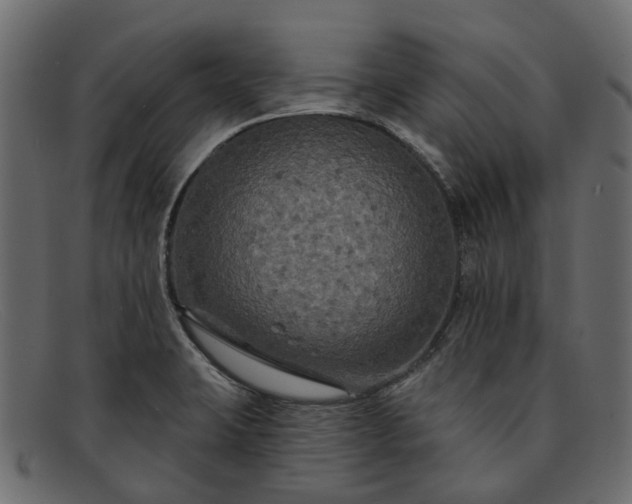 X0000091931423200709191350