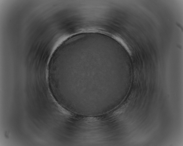 X0000091931424200709191350