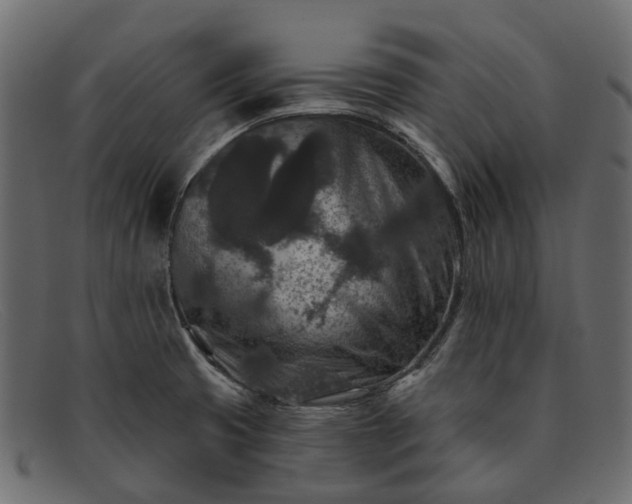 X0000091931425200709191350