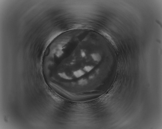 X0000091931427200709191350