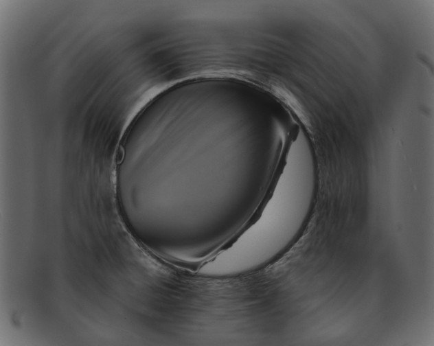 X0000091931428200709191350