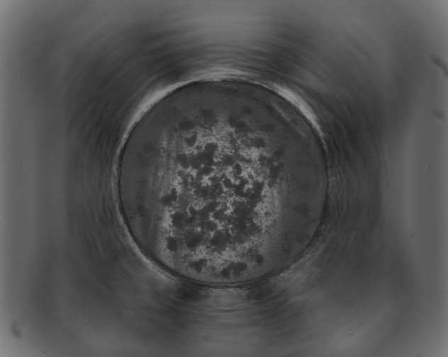 X0000091931429200709191350