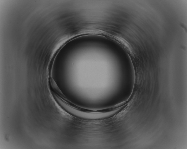 X0000091931430200709191350